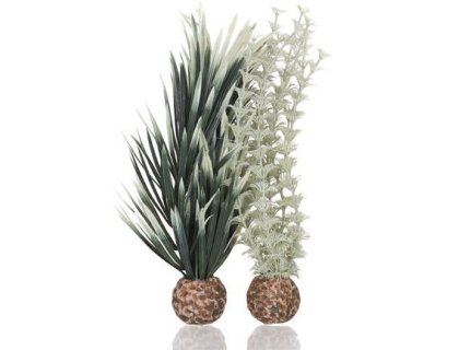 Oase biOrb set rostlin Ambulie šedo-zelená S