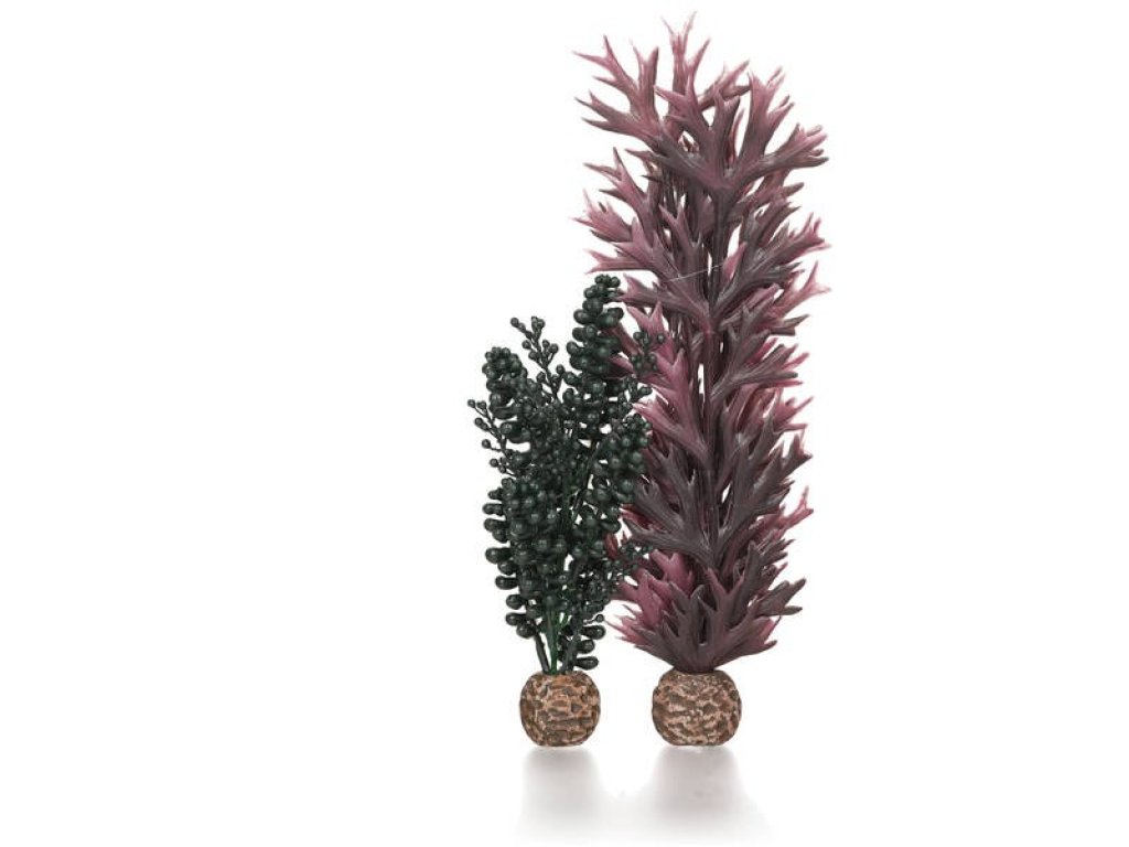 Oase biOrb set rostlin fialová a tmavě zelená