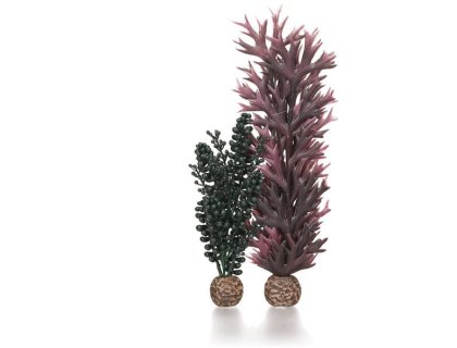 Oase biOrb set rostlin fialová a tmavě zelená