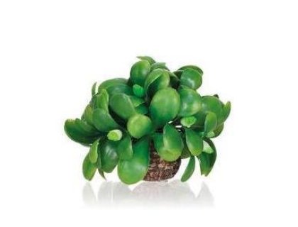 Oase biOrb podvodní koule jmelí