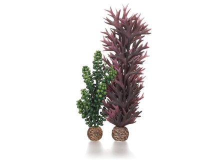 Oase biOrb set rostlin fialová a olivově zelená