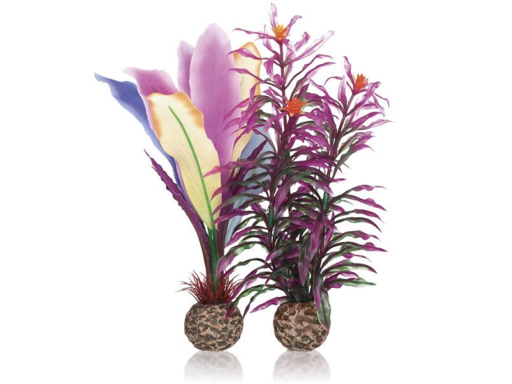 Oase biOrb rostlina papouščí peří M