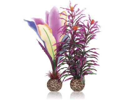 Oase biOrb rostlina papouščí peří M