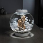 Oase biOrb dekorace mořští koníci přírodní M