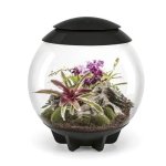 Oase biOrb AIR 60 (terárium černé)