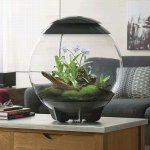 Oase biOrb AIR 60 (terárium černé)