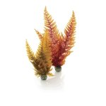 Oase biOrb set rostlin podzimní barvy