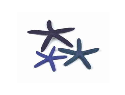 Oase biOrb mořské hvězdice modré