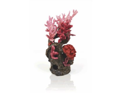 Oase biOrb dekorace korály červené