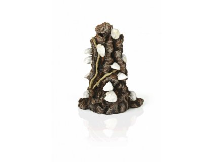 Oase biOrb dekorace kmen s mušlemi