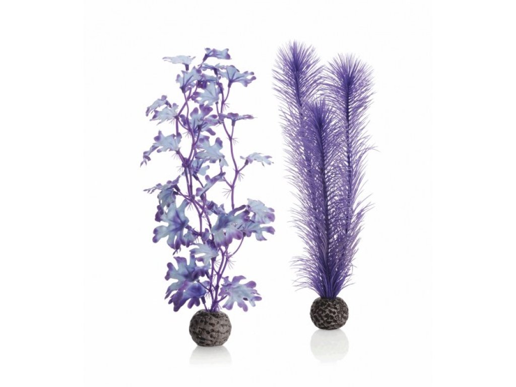 Oase biOrb set rostlin fialové M