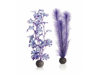 Oase biOrb set rostlin fialové M