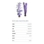 Oase biOrb set rostlin fialové M