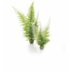 Oase biOrb set rostlin zimní barvy