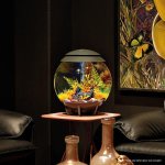 Oase biOrb set rostlin zimní barvy