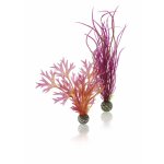Oase biOrb set rostlin červená a růžová