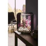 Oase biOrb set rostlin červená a růžová