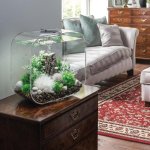 Oase biOrb set rostlin zimní barvy 2