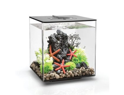 Oase biOrb CUBE 30 LED (akvárium černé)