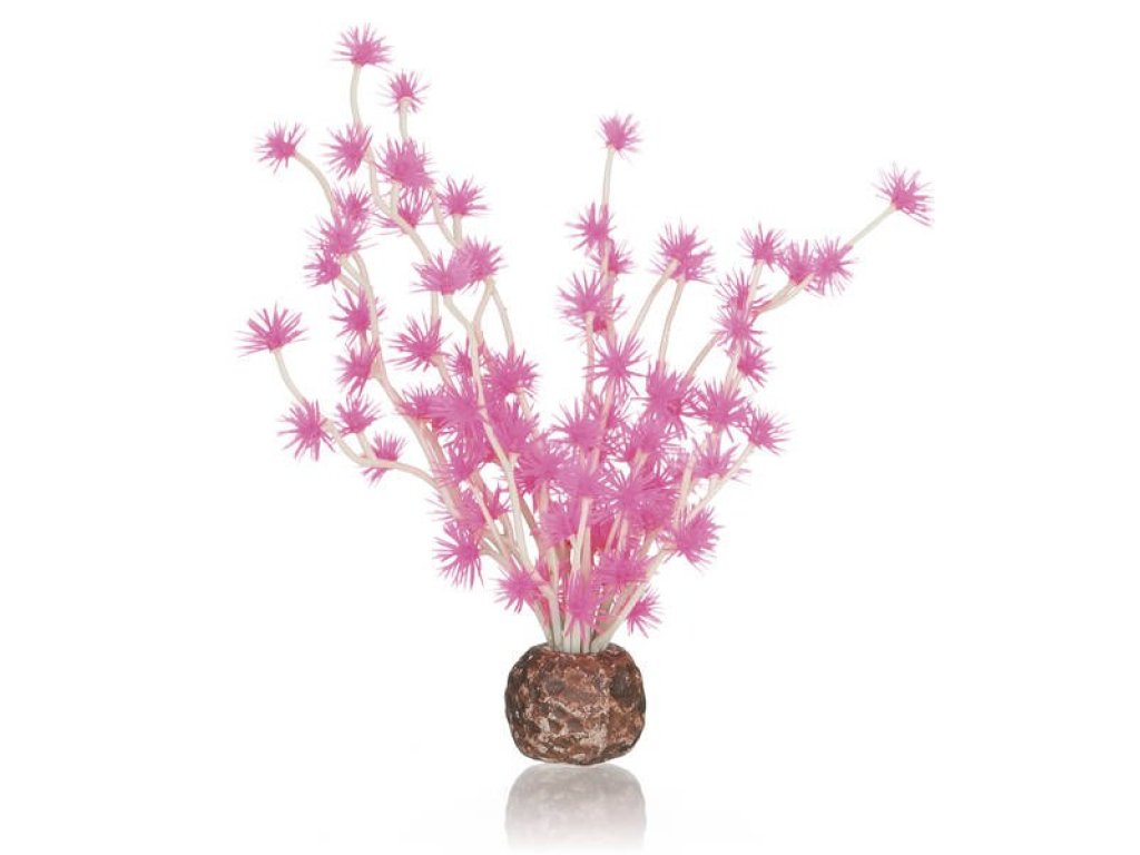 Oase biOrb rostlina Bonsai Ball růžová