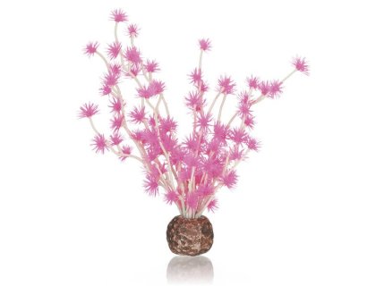 Oase biOrb rostlina Bonsai Ball růžová