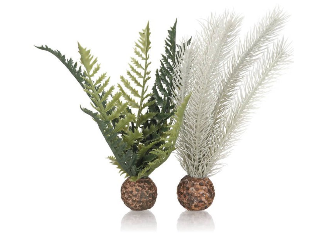 Oase biOrb set rostlin zeleno-šedá S