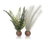 Oase biOrb set rostlin zeleno-šedá S