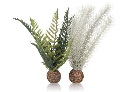 Oase biOrb set rostlin zeleno-šedá S