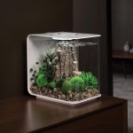 Oase biOrb set rostlin zeleno-šedá S