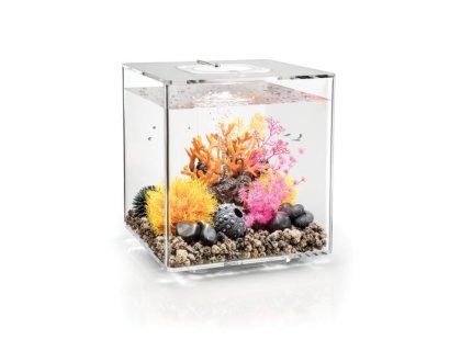Oase biOrb CUBE 60 LED (akvárium transparentní)