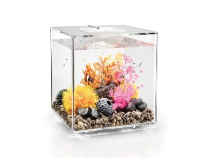 Oase biOrb CUBE 30 LED (akvárium transparentní)