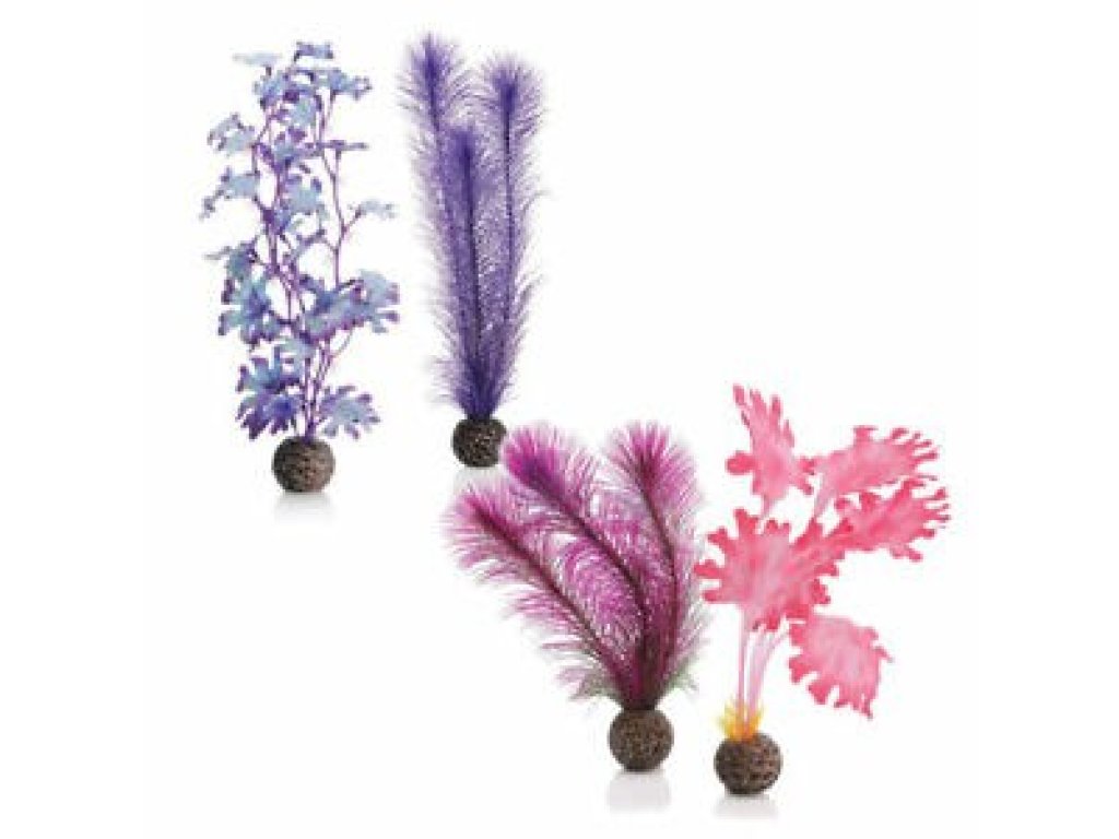 Oase biOrb set rostlin růžové S