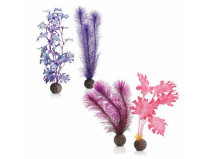 Oase biOrb set rostlin růžové S