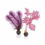 Oase biOrb set rostlin růžové S