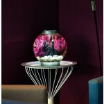 Oase biOrb set rostlin růžové S