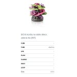 Oase biOrb dekorace korálový útes zeleno-fialový