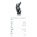 Oase biOrb dekorace mořští koníci černí M