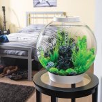 Oase biOrb dekorace mořští koníci černí M