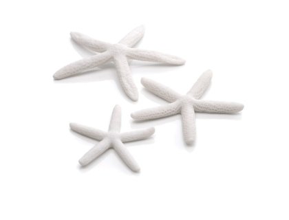 Oase biOrb mořské hvězdice bílé