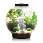 Oase biOrb dekorace oblázky bílé S