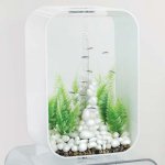 Oase biOrb dekorace oblázky bílé M