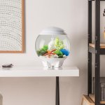 Oase biOrb dekorace oblázky bílé M