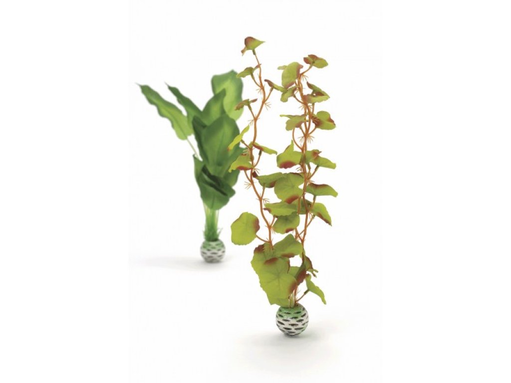 Oase biOrb set rostlin zelené M