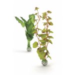 Oase biOrb set rostlin zelené M