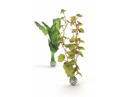 Oase biOrb set rostlin zelené M