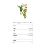 Oase biOrb set rostlin zelené M