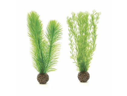 Oase biOrb set rostlin zelené S