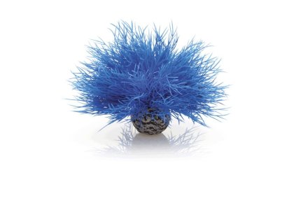 Oase biOrb vodní ozdobná tráva modrá