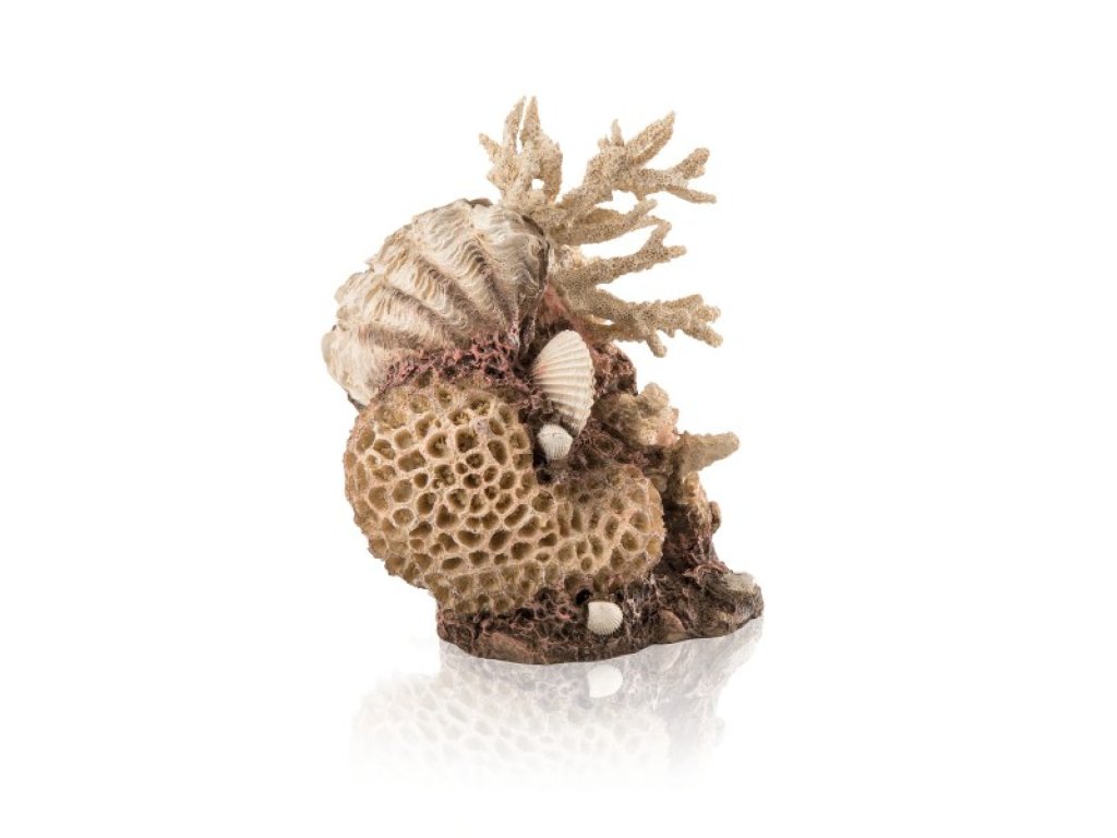 Oase biOrb dekorace korály s mušlemi