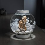 Oase biOrb dekorace korály s mušlemi